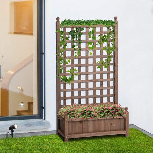 Raised Garden Bed with Trellis